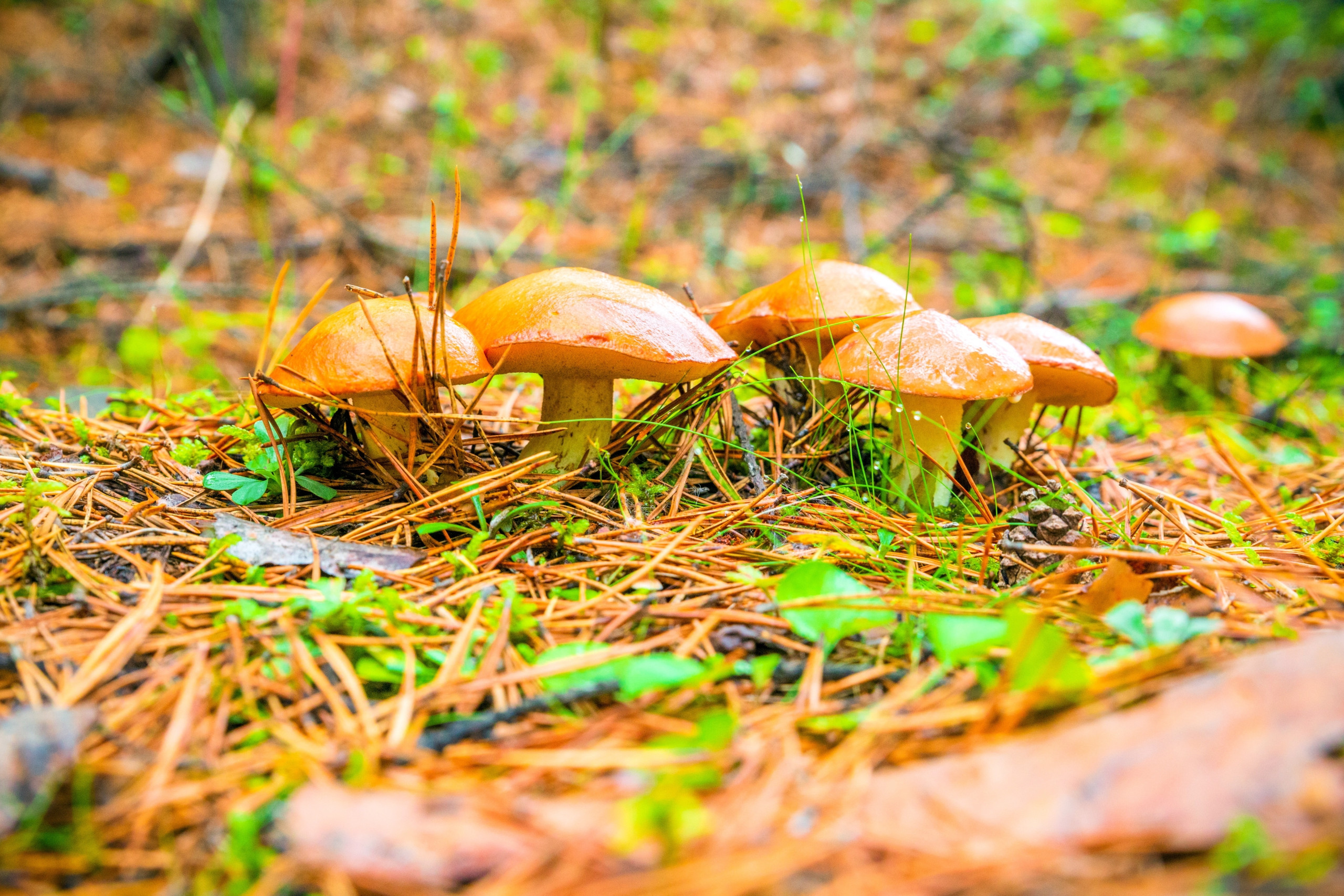 Фото: shutterstock