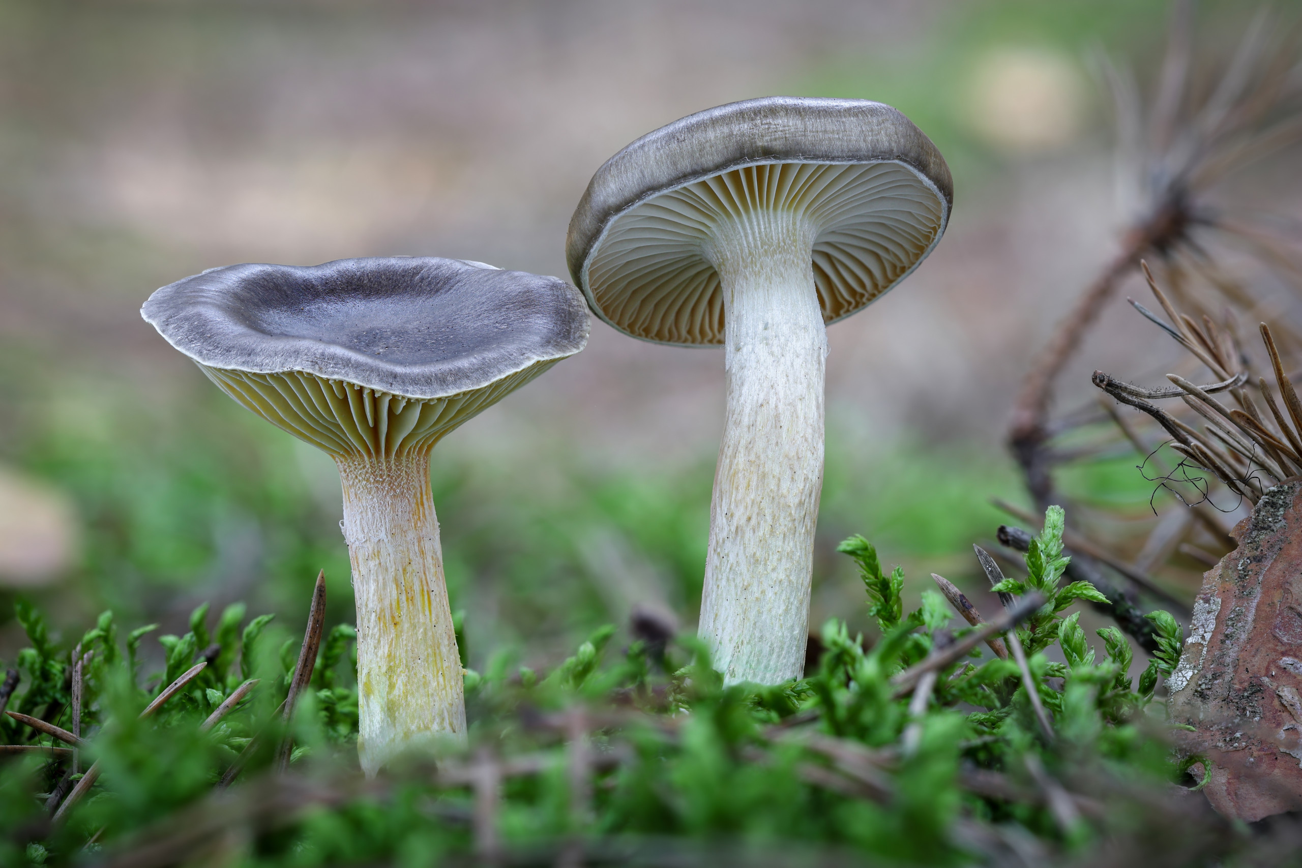 Фото: Shutterstock