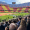 Tribuna Central