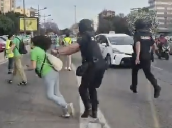 Полицейский толкнул женщину на акции протеста учителей в Валенсии