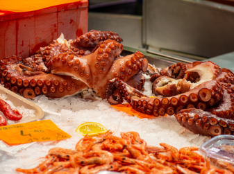 Крупнейший в Испании фестиваль морепродуктов MarisGalicia пройдет в октябре